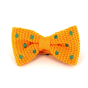 Papillon a pois gialli con pois verdi