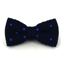 Papillon a pois blu azzurri