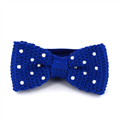 Papillon a pois blu con pois bianchi