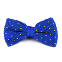 Papillon a pois blu con puntini gialli