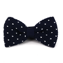 Papillon a pois blu con punti bianchi