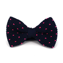 Papillon a pois blu con pois rosa