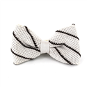 Papillon a pois bianco a righe marroni
