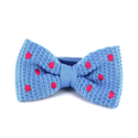 Papillon a pois celeste con pois magenta