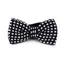 Papillon a pois blu e bianco