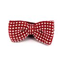 Papillon a pois rossi e bianchi