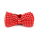 Papillon a pois rossi e bianchi