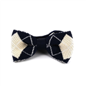 Papillon a quadretti blu e bianco