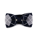 Papillon a Quadretti Blu e Grigio