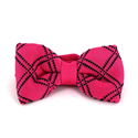 Papillon a quadretti rosa