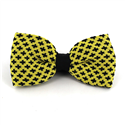 Papillon a pois gigli gialli e neri