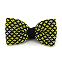 Papillon a pois giglio nero e giallo
