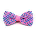 Papillon a pois giglio rosa e blu