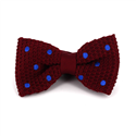 Papillon a pois granata con pois blu