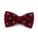 Papillon a pois granata con pois celesti