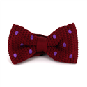 Papillon a pois granata con pois viola