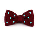 Papillon a pois granata con pois turchese