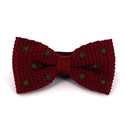 Papillon a pois bordeaux a pois verdi scuro