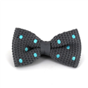 Papillon a pois grigi a pois turchese