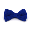 Papillon a Punto Liscio Blu