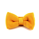 Papillon a pois liscio dorato