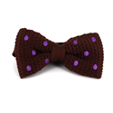Papillon a pois marrone con pois lilla