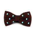 Papillon a pois marrone con pois turchese