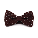 Papillon a pois marrone con puntini bianchi