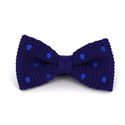 Papillon a pois viola con pois blu