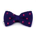 Papillon a pois viola a pois magenta