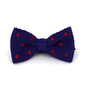 Papillon a pois viola con pois rossi