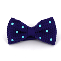 Papillon a pois viola con pois turchese