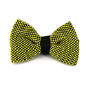 Papillon a pois nero e giallo