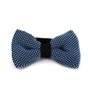 Papillon a pois nero e blu