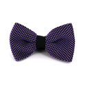 Papillon a pois nero e viola
