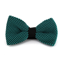 Papillon a pois nero e turchese