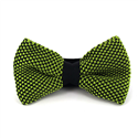 Papillon a pois nero e verde