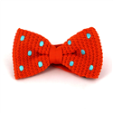 Papillon a pois arancione con punti turchese