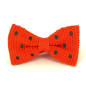 Papillon a pois arancioni con pois verdi scuri