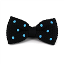 Papillon a pois nero con pois celeste