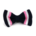 Papillon a righe a pois blu scuro