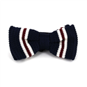 Papillon a righe a pois blu scuro