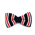 Papillon a righe a pois blu scuro