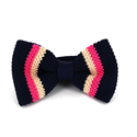 Papillon a righe a pois blu scuro