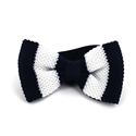 Papillon a righe blu e bianche