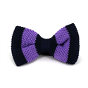 Papillon a righe azzurre e viola