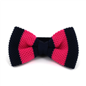 Papillon a righe azzurre e rosa