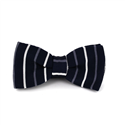Papillon a righe sottili blu