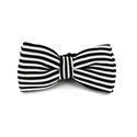 Papillon a righe nero e bianco