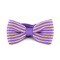 Papillon a Righe a Punto Viola e Beige